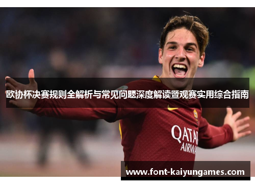 欧协杯决赛规则全解析与常见问题深度解读暨观赛实用综合指南