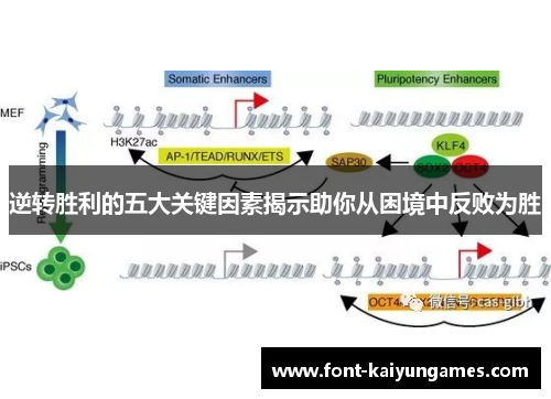 逆转胜利的五大关键因素揭示助你从困境中反败为胜